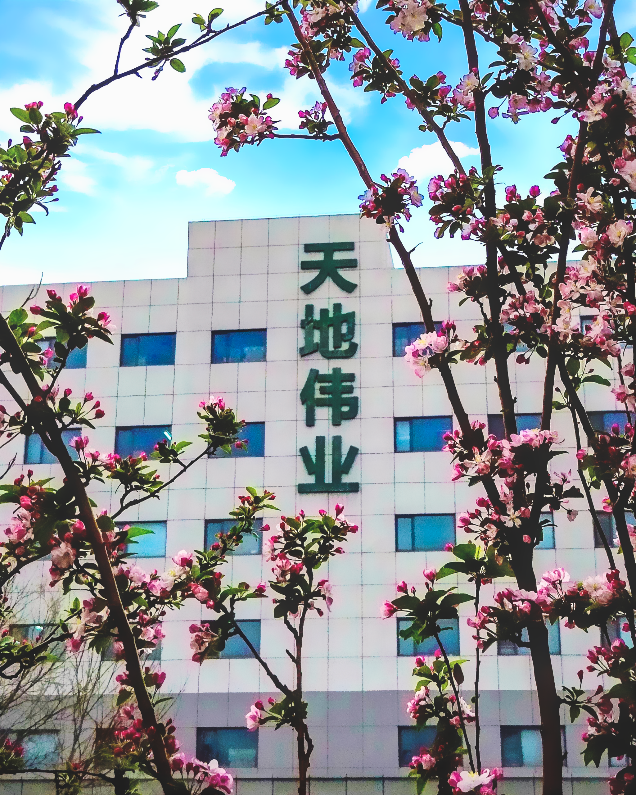 首页| 尊龙集团中国官方网站