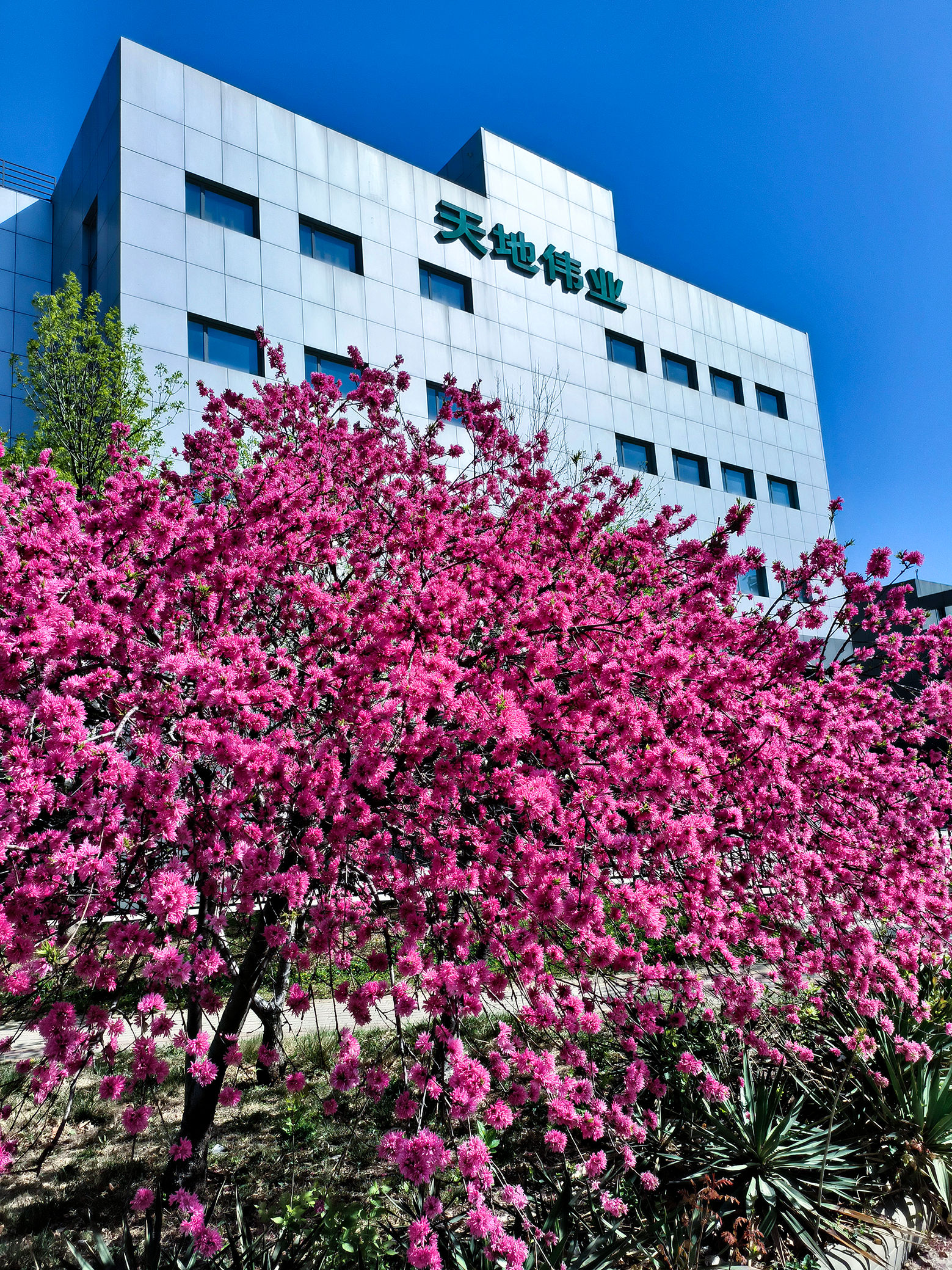 首页| 尊龙集团中国官方网站