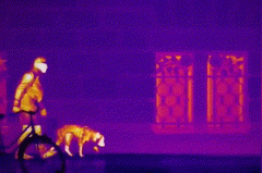 首页| 尊龙集团中国官方网站